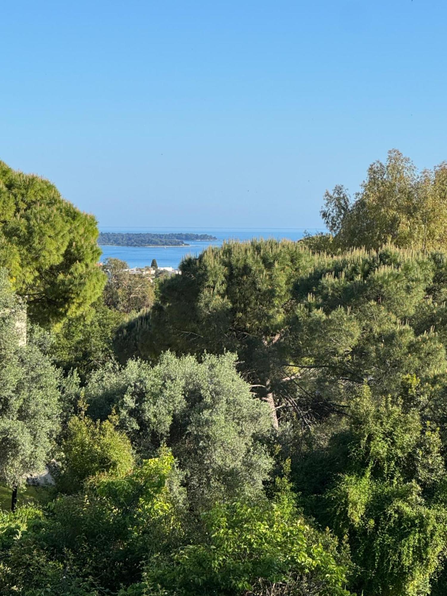 Kazanou * Cannes
